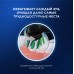 Электрическая зубная щетка Oral-B Vitality Pro D103.423.3H Black+Дополнительная насадка тип 3708+Насадка Cross Action