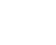 Pro 1